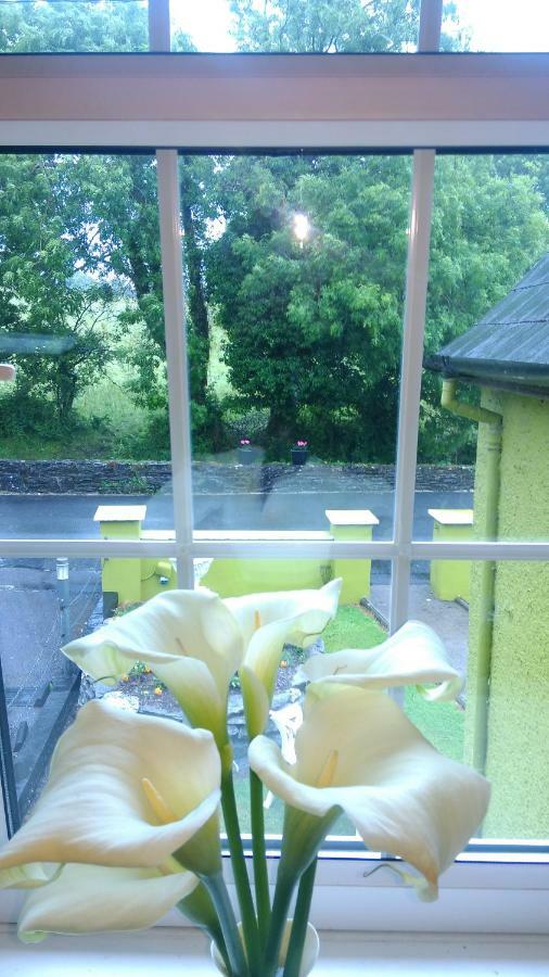 Bed and Breakfast Gortnaboul House Kilgarvan Exterior foto